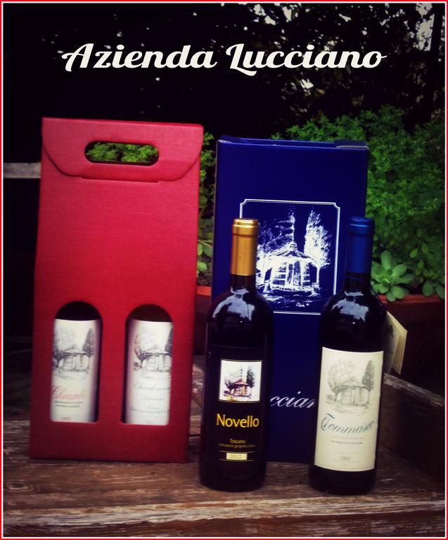 Agriturismo Lucciano Сан-Кашіано-ін-Валь-ді-Пеза Номер фото