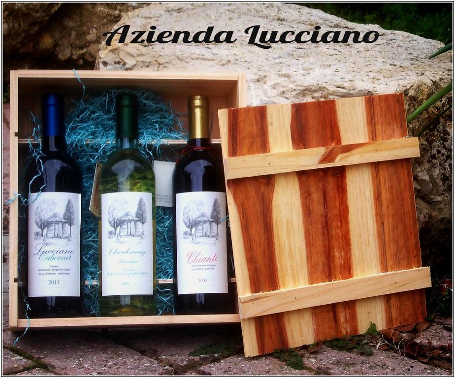 Agriturismo Lucciano Сан-Кашіано-ін-Валь-ді-Пеза Номер фото